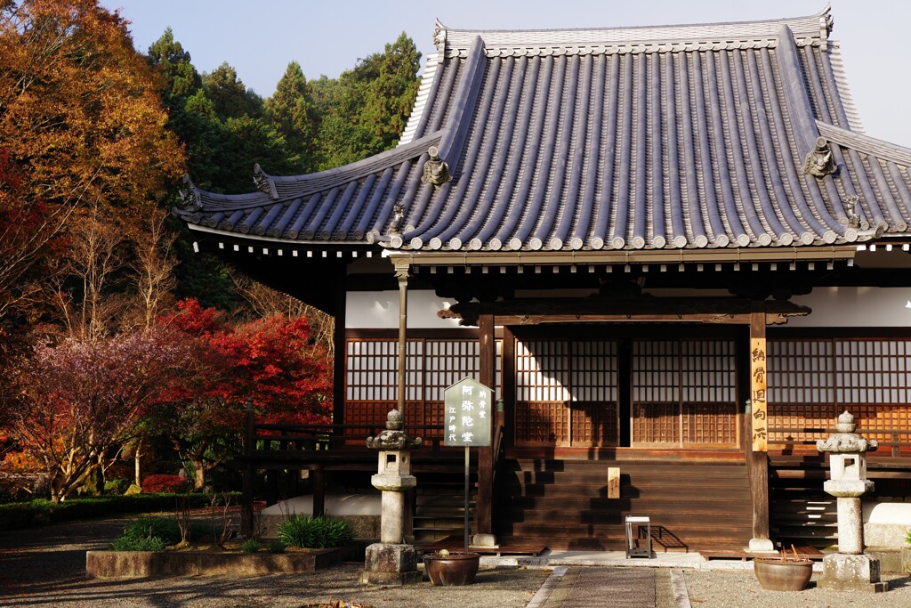 當麻寺の紅葉④