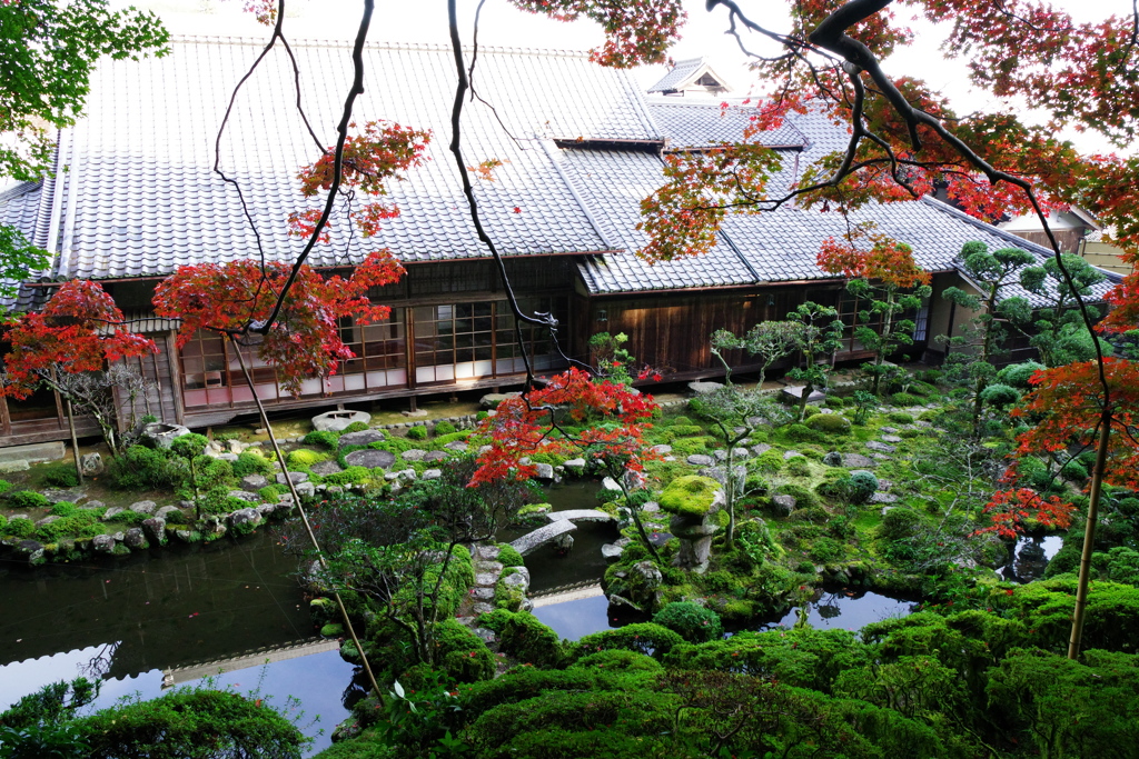 當麻寺の紅葉⑧