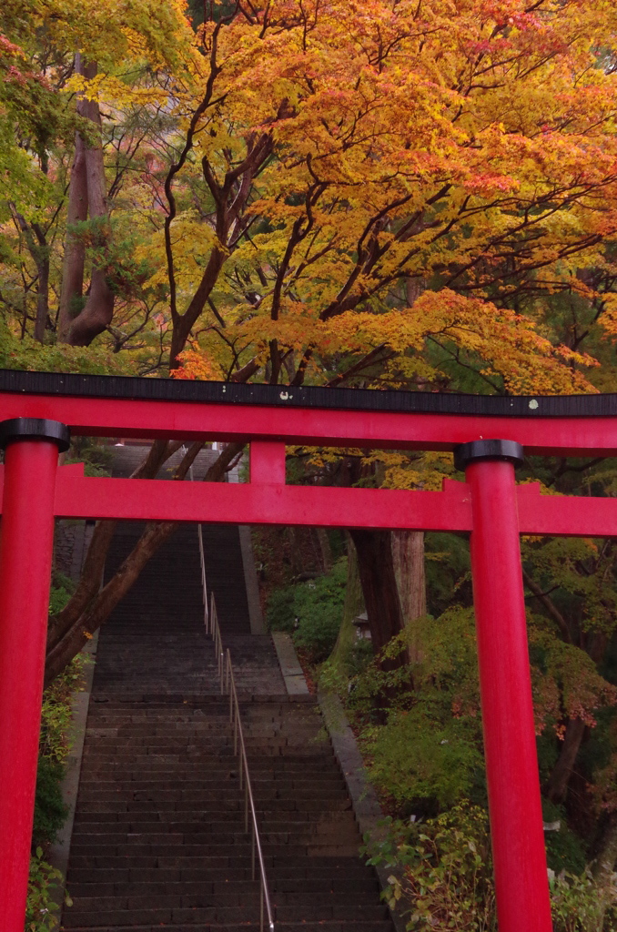 談山神社　～紅鳥居～