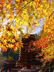 談山神社・紅葉2015①