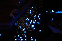 想いをのせたLED