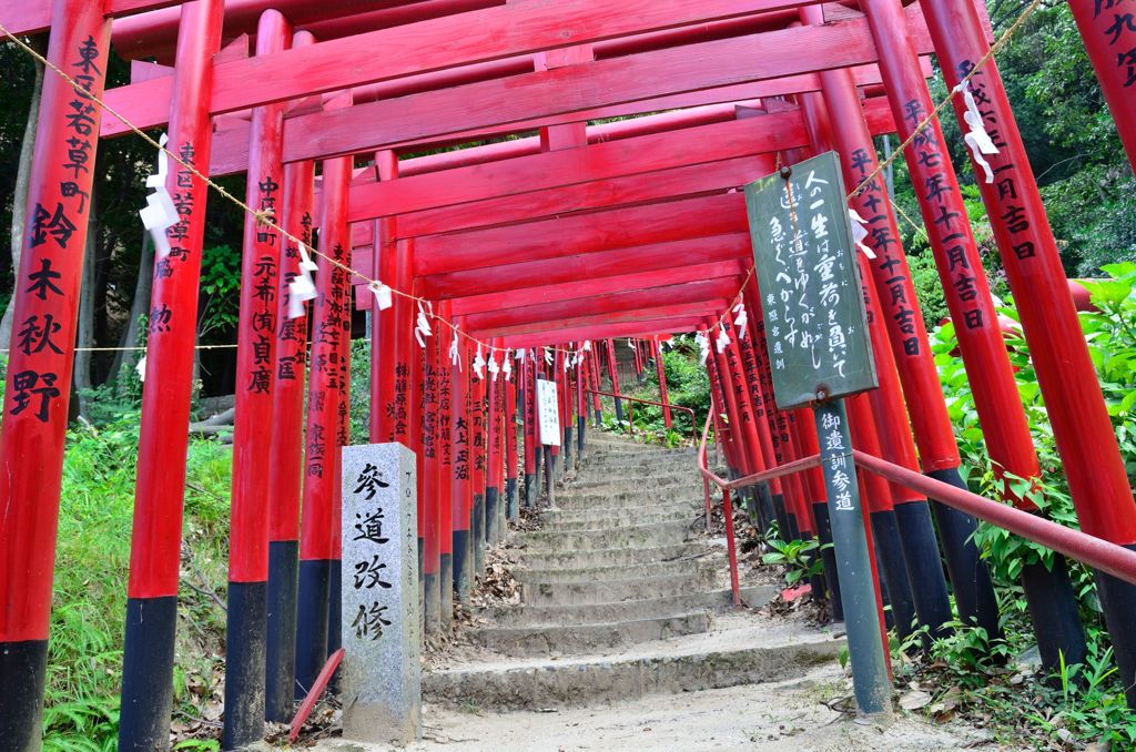 連続する鳥居