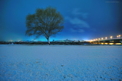 winter symbol tree...