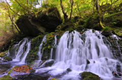 falls of autumn...