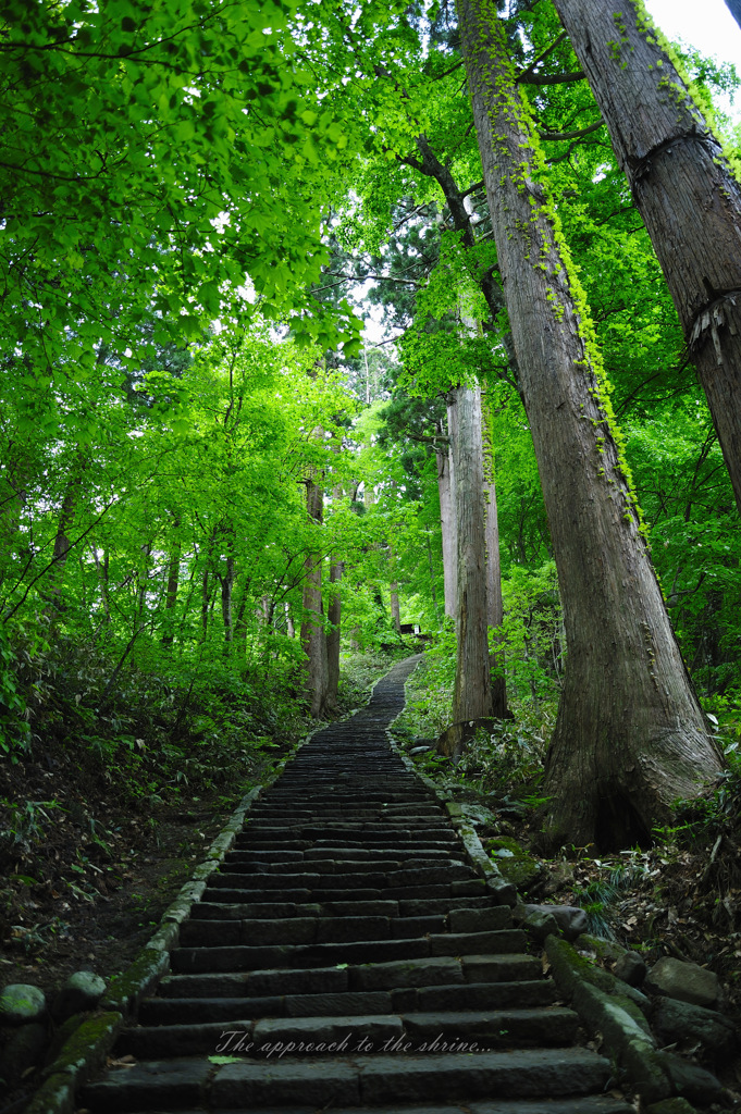 The approach to the shrine...
