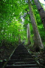 The approach to the shrine...