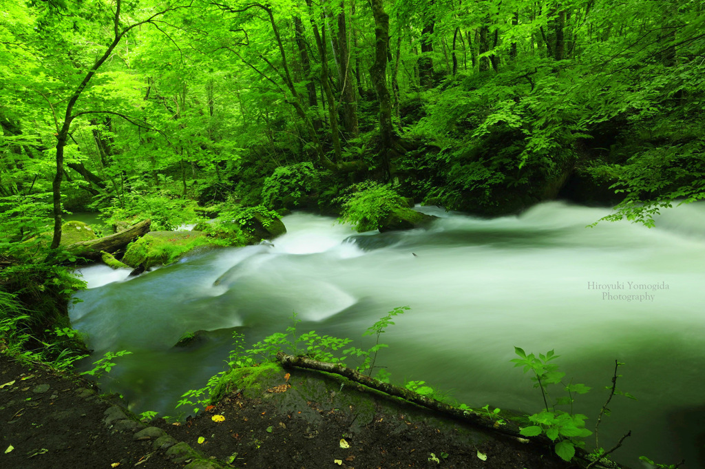 Beautiful green nature...