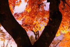 Beautiful autumn...