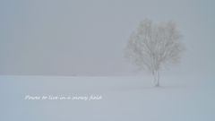 Power to live in a snowy field