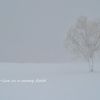 Power to live in a snowy field