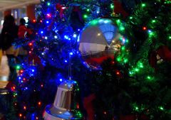 Oneself in an ornament 