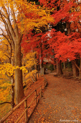 Autumn color...