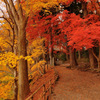 Autumn color...