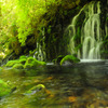 Green world...