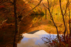 Memories autumn...