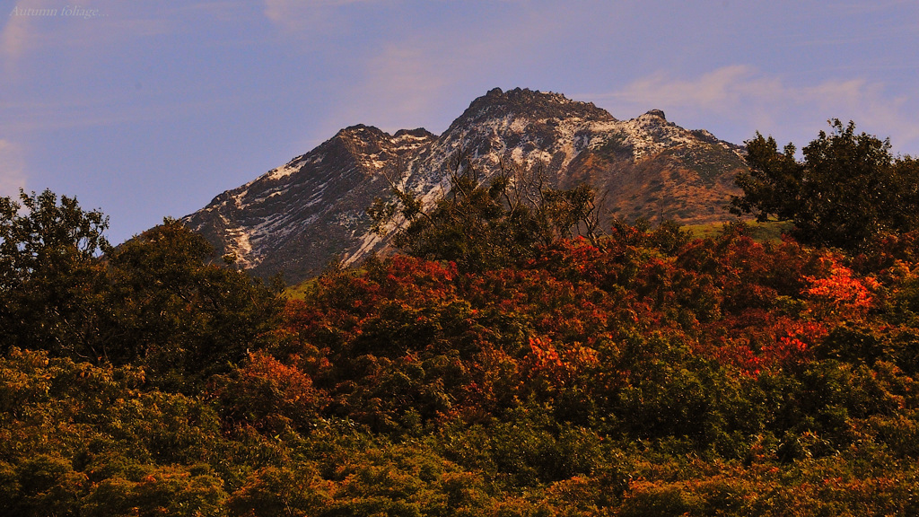 Autumn fliage...