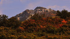 Autumn fliage...