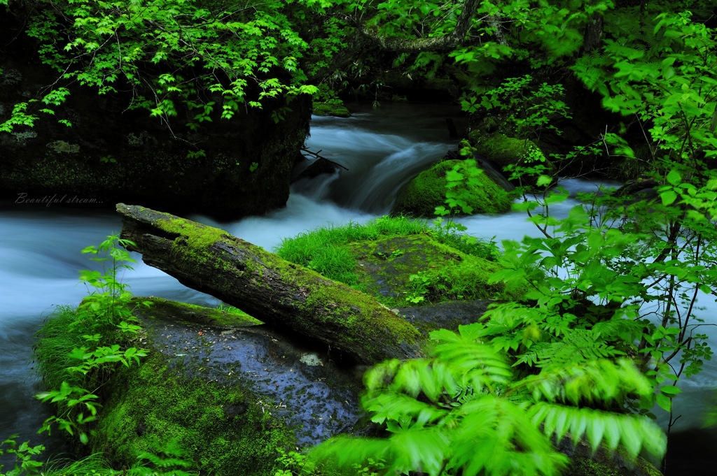 Beautiful stream...