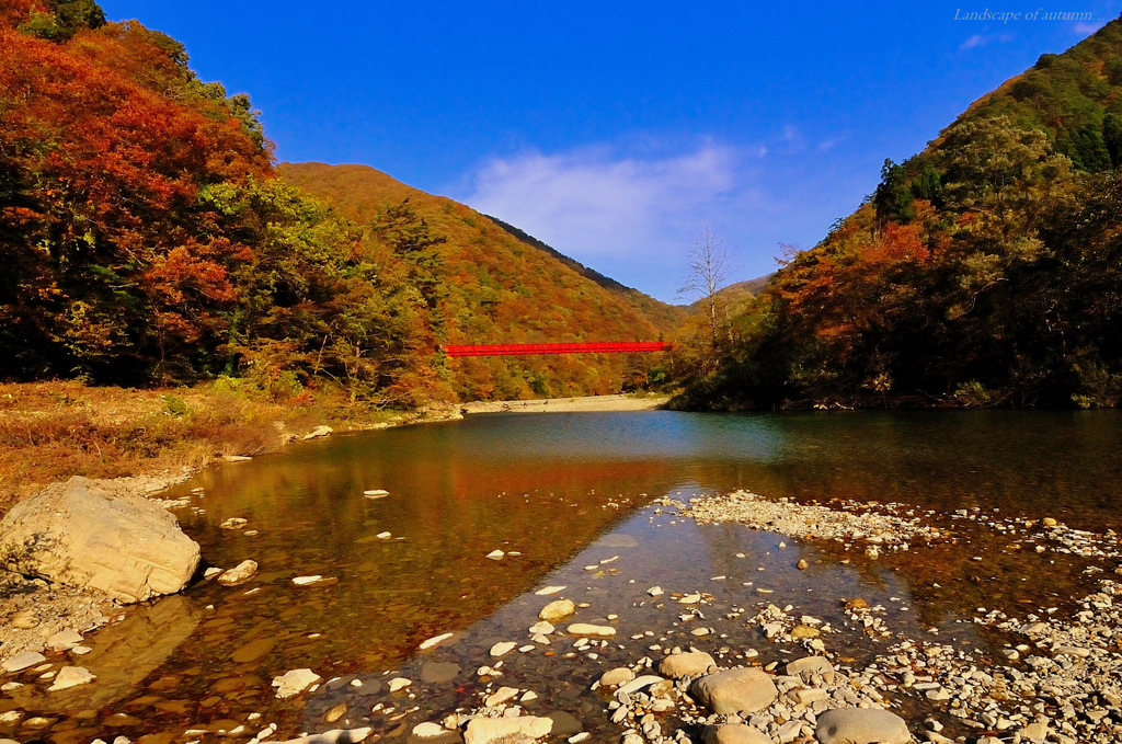Landscape of autumn...