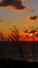 Autumn twilight...