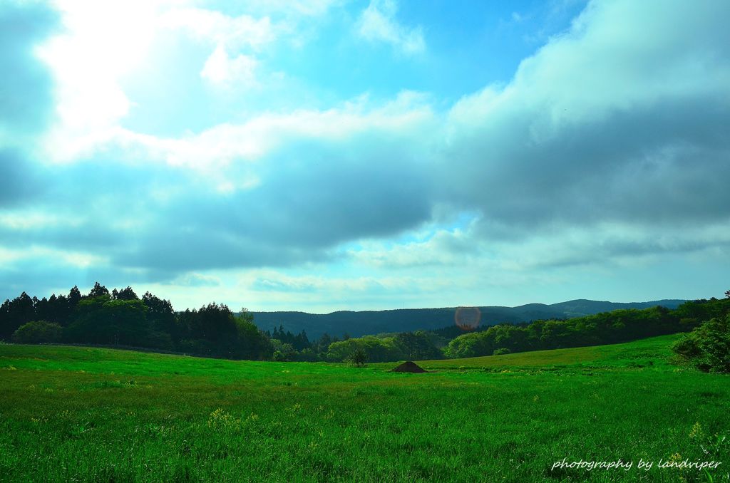 Scenery of the morning