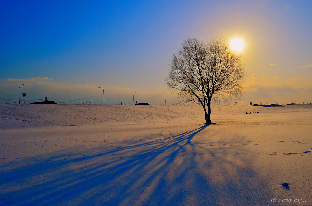 It’s a crisp day...