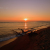 Golden twilight...