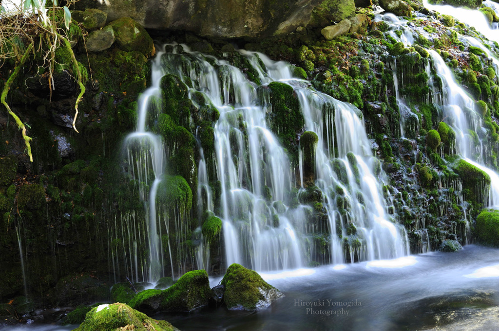 The joy of nature...