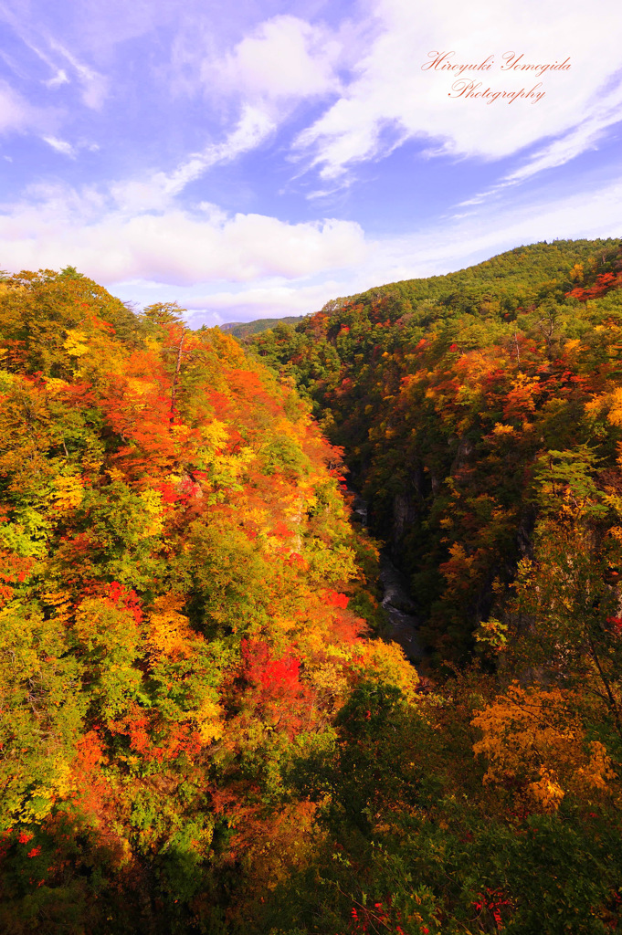 Enjoy autumn...