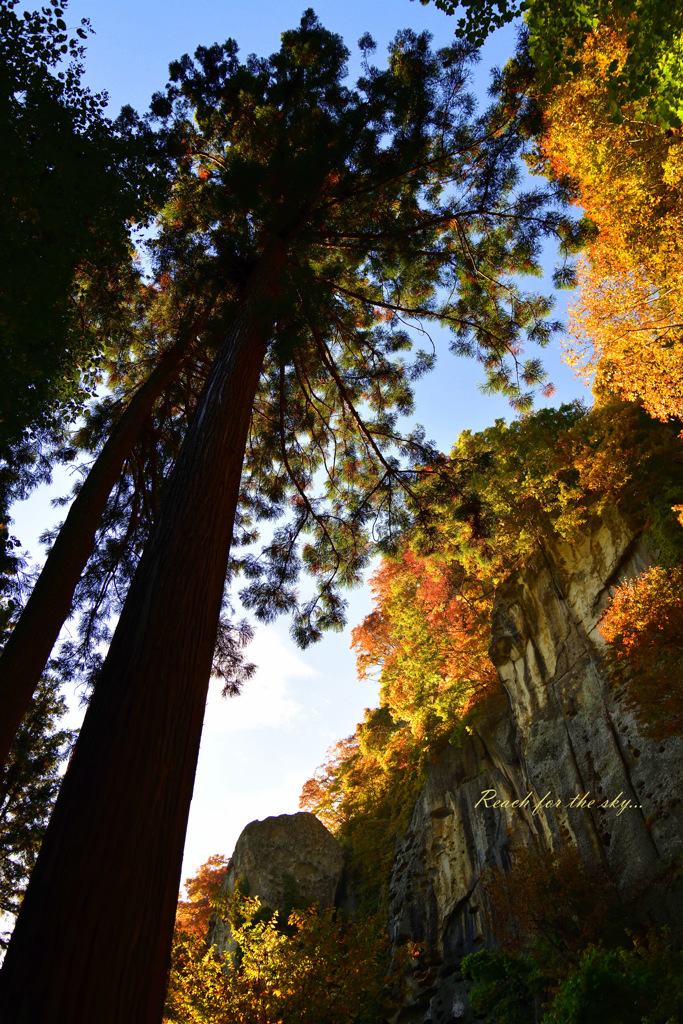 Reach for the sky...