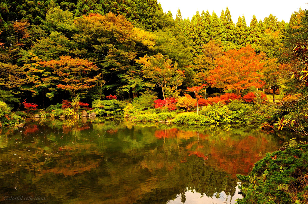 Colorful reflection...