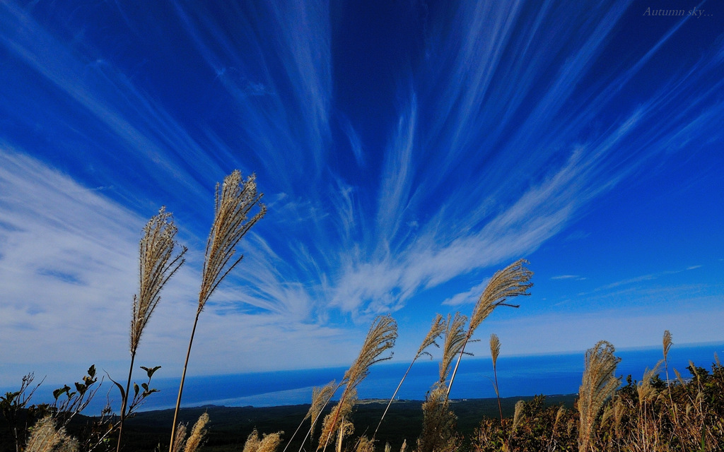 Autumn sky...