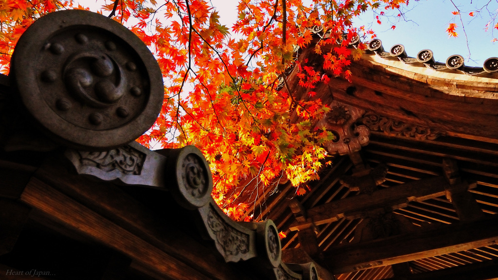 Heart of Japan...