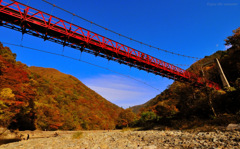 Enjoy the autumn!