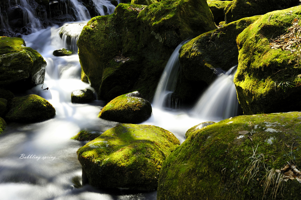 Babbling spring...