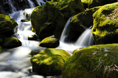 Babbling spring...
