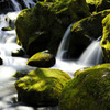 Babbling spring...