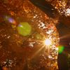 Afternoon of autumn...
