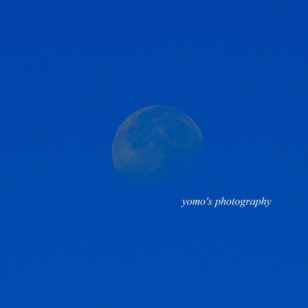 青空に月