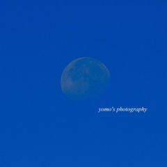 青空に月