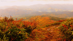 Supurb view...