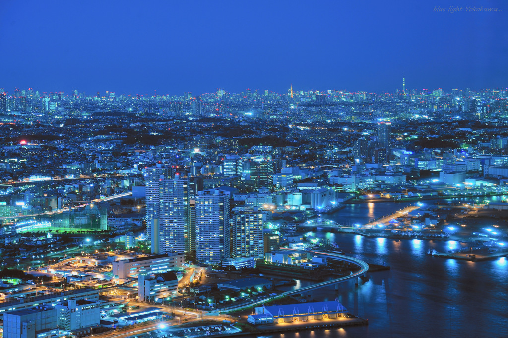 blue light Yokohama...