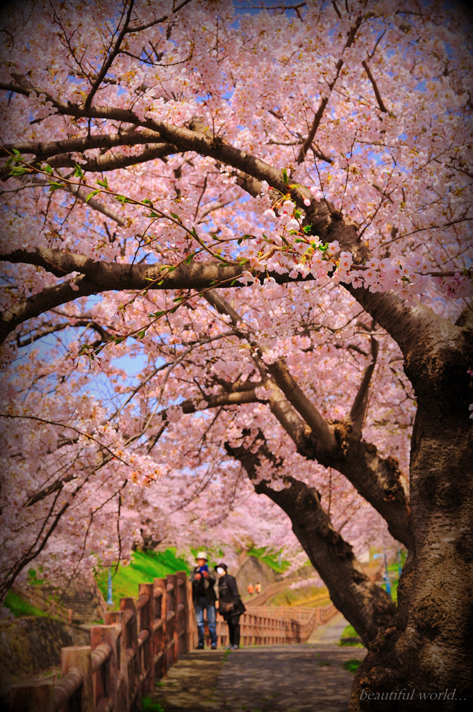 beautiful world...