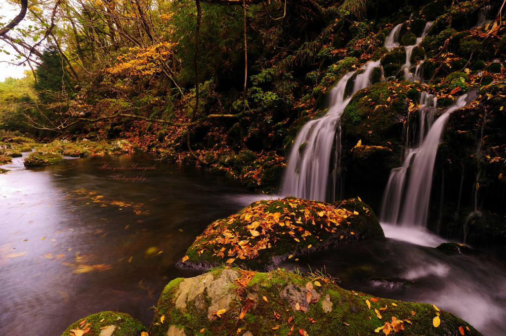 Late autumn...