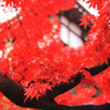 japanese healing...