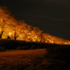 Beautiful night...