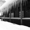 icicle...