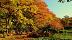 Feeling the autumn...