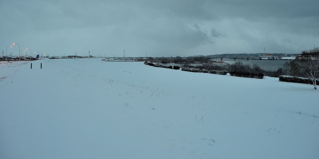 white and gray