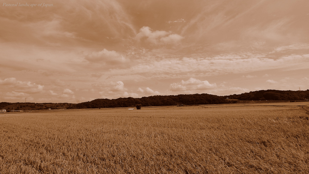 Pastoral landscape of Japan...